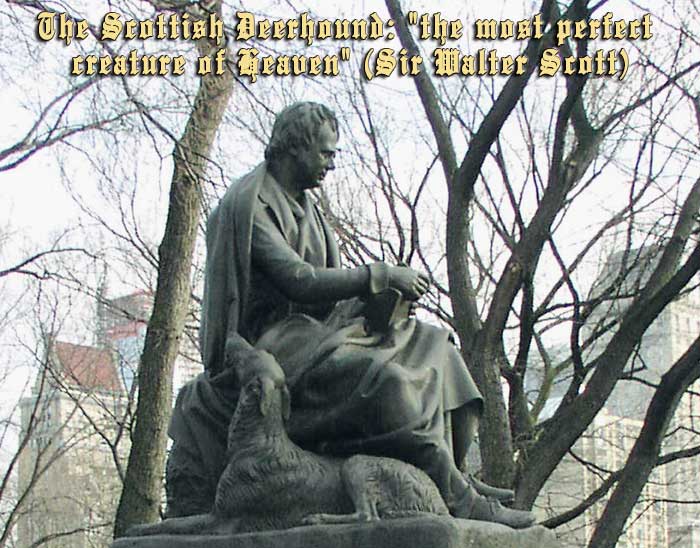 Hounds of Hollyrood - Sir Walter Scott statue