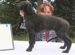 Bramble at 6 weeks