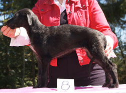 Grace at 7 weeks