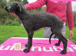 Grace at 9 weeks
