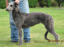 "Lumen" at 6 months