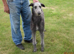 "Lumen" at 6 months