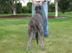 "Lumen" at 6 months