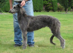 "Lumen" at 6 months