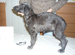 "Lumen" at 7 weeks