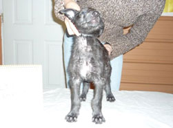"Lumen" at 7 weeks