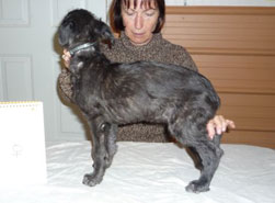 "Lumen" at 7 weeks