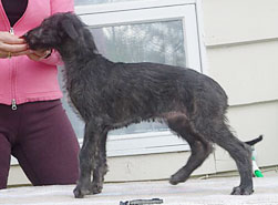 "Lumen" at 8 weeks