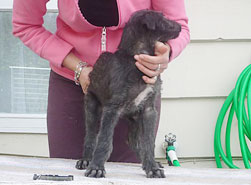 "Lumen" at 8 weeks