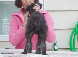 "Lumen" at 8 weeks