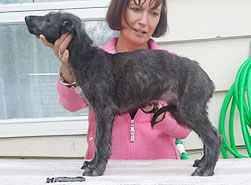 "Lumen" at 8 weeks