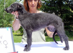 Maya at 8 weeks