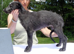 Maya at 8 weeks