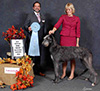 Raven - BPIS - Fraser Valley Dog Fanciers