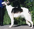 Bonnie