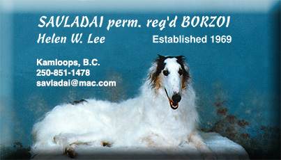 Savladai Borzoi Business Card